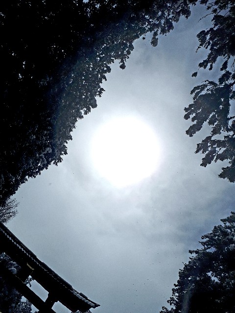 f:id:tommynoblog:20200407222058j:image f:id:tommynoblog:20200407222058j:image