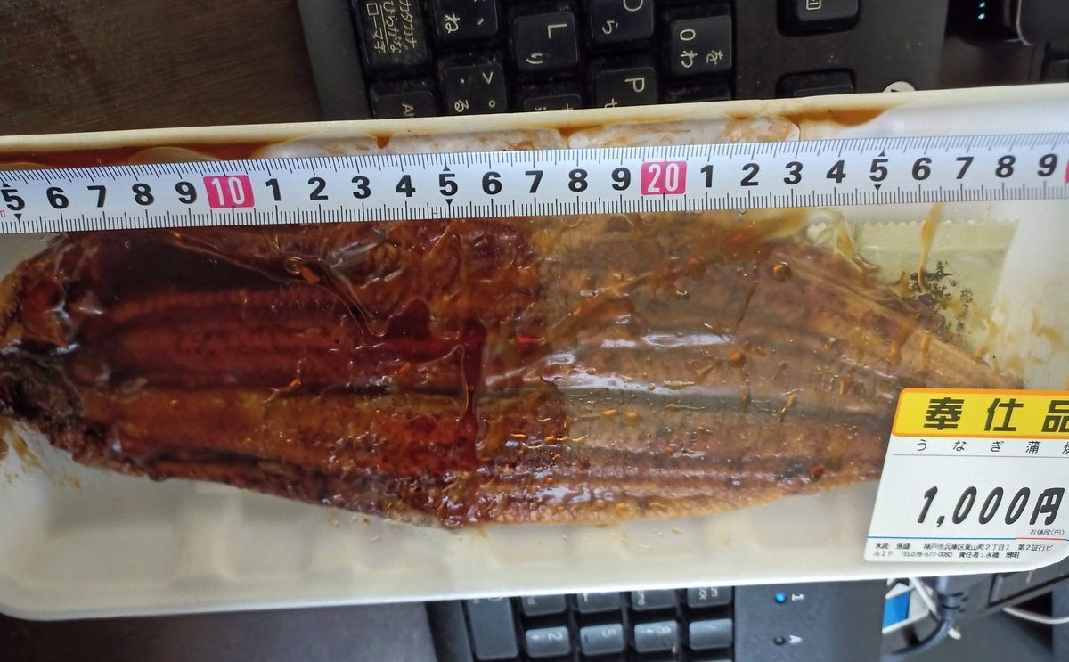 湊川市場の魚屋、魚盛さん、超バカデカイ鰻が売ってまして、全面盛り鰻 