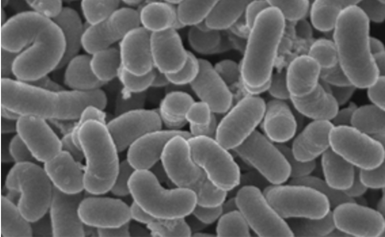 f:id:tommyyoshi-biz:20180809100621p:plain f:id:tommyyoshi-biz:20180809100621p:plain