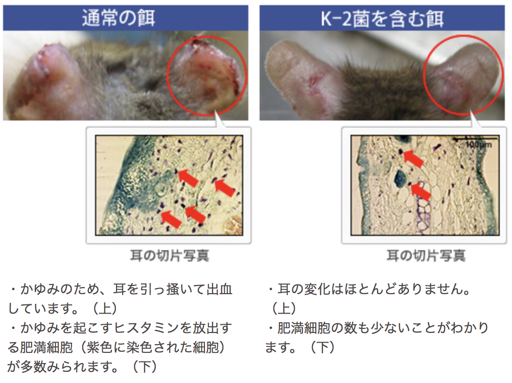 f:id:tommyyoshi-biz:20180809171949p:plain f:id:tommyyoshi-biz:20180809171949p:plain