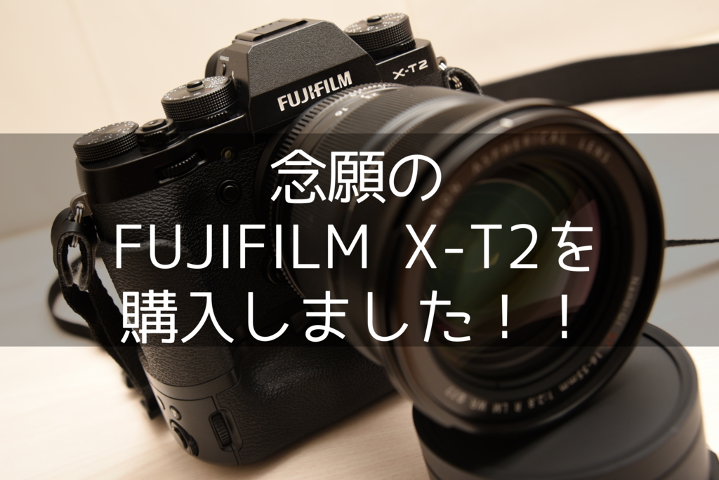 f:id:tomo-camera:20170306143856j:plain f:id:tomo-camera:20170306143856j:plain