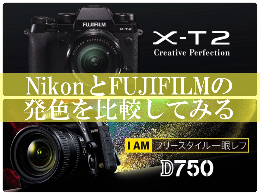 f:id:tomo-camera:20170308190840j:plain f:id:tomo-camera:20170308190840j:plain