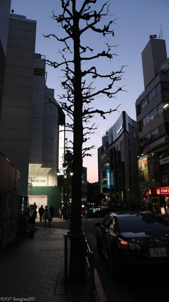 f:id:tomo-camera:20170313212937j:plain f:id:tomo-camera:20170313212937j:plain