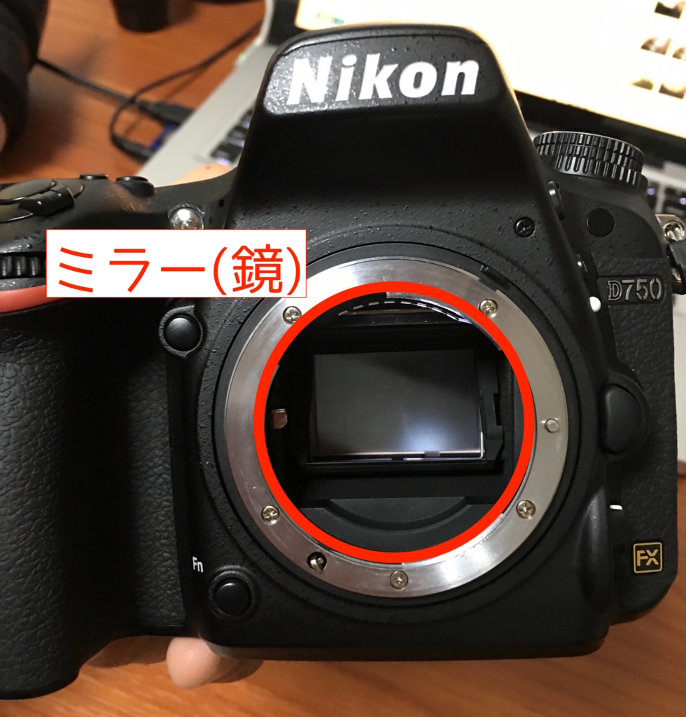 f:id:tomo-camera:20170313223635j:plain f:id:tomo-camera:20170313223635j:plain