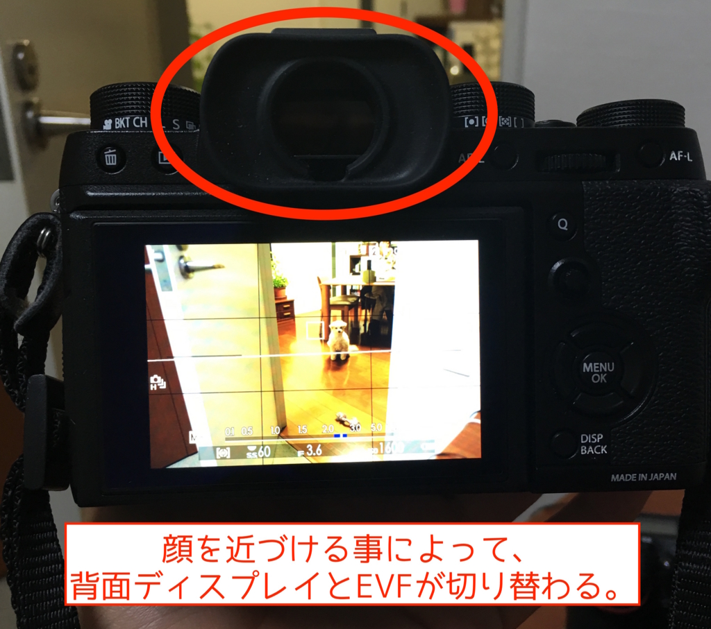 f:id:tomo-camera:20170314003533j:plain f:id:tomo-camera:20170314003533j:plain