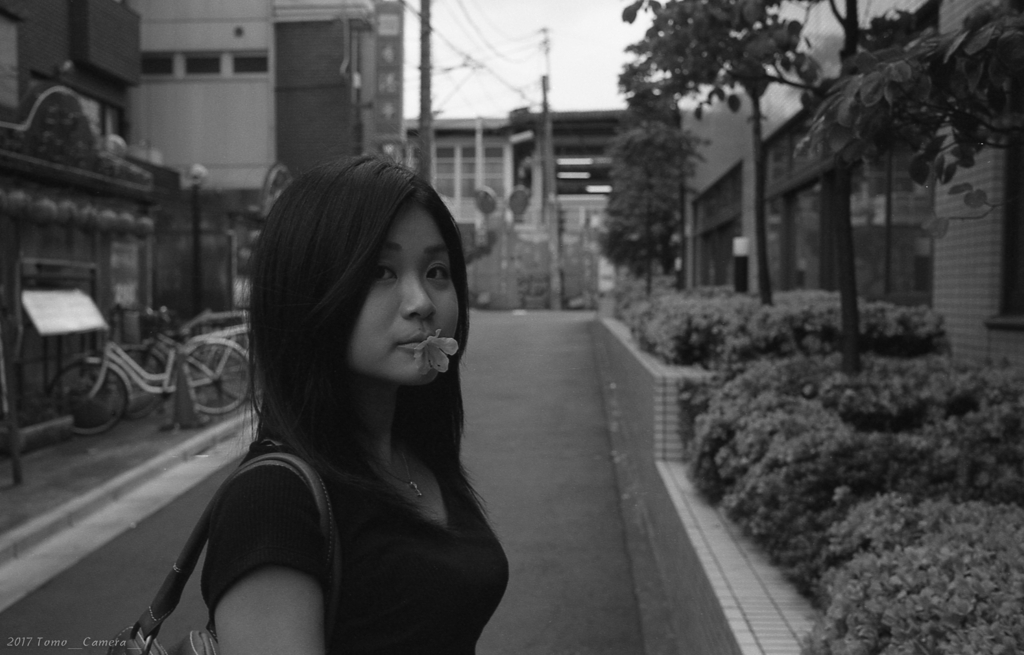f:id:tomo-camera:20170626085652j:plain f:id:tomo-camera:20170626085652j:plain