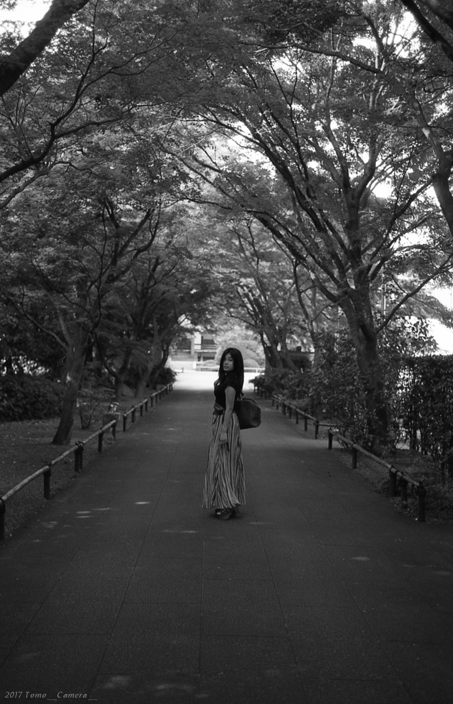 f:id:tomo-camera:20170626090946j:plain f:id:tomo-camera:20170626090946j:plain