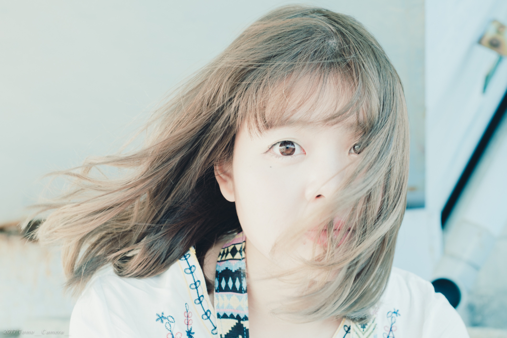 f:id:tomo-camera:20170725215330j:plain f:id:tomo-camera:20170725215330j:plain