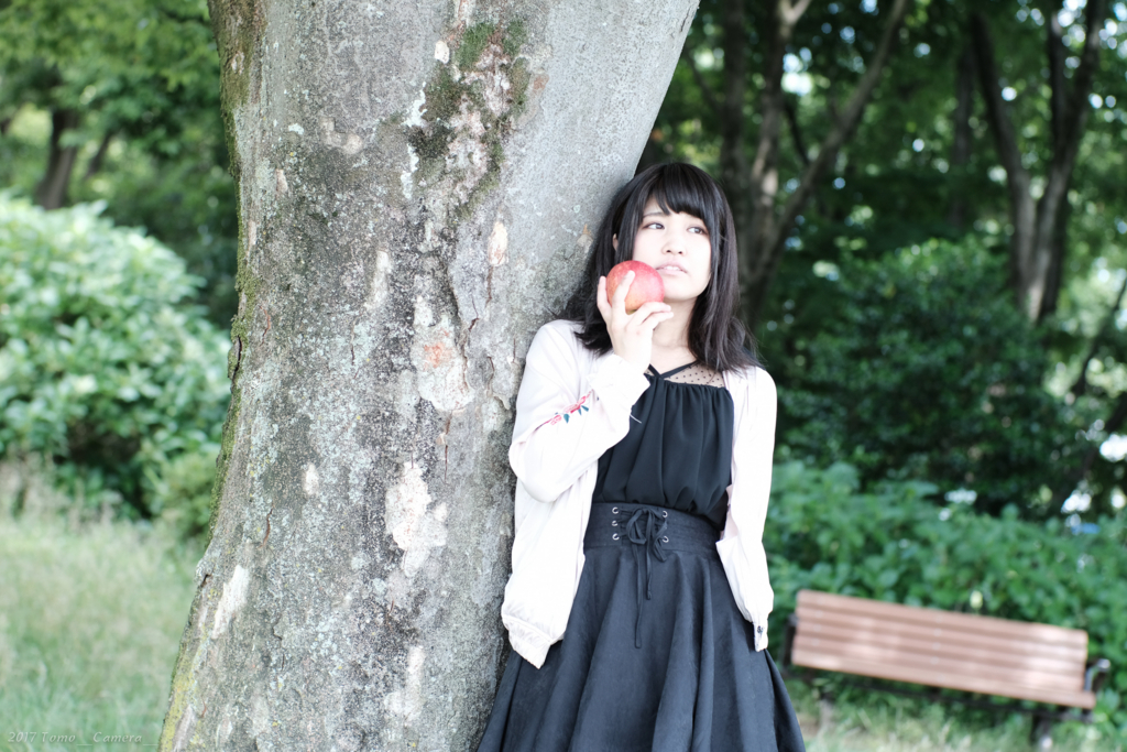 f:id:tomo-camera:20170725220629j:plain f:id:tomo-camera:20170725220629j:plain