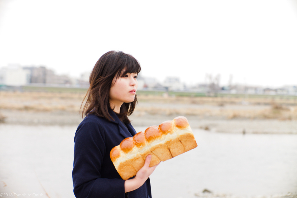 f:id:tomo-camera:20180210014253j:plain f:id:tomo-camera:20180210014253j:plain