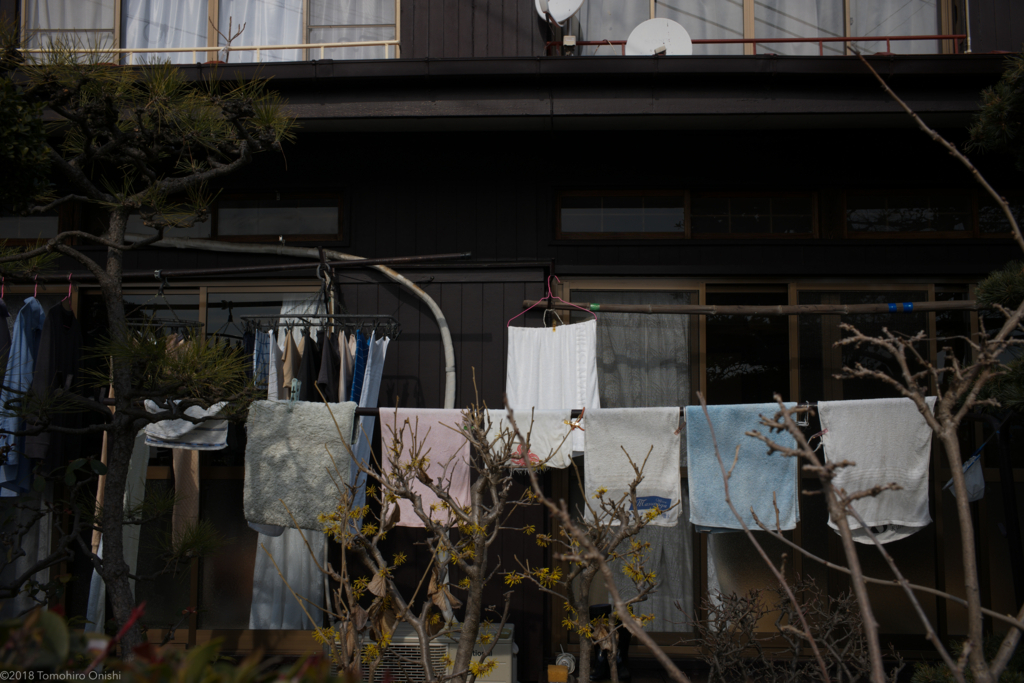 f:id:tomo-camera:20180216002610j:plain f:id:tomo-camera:20180216002610j:plain