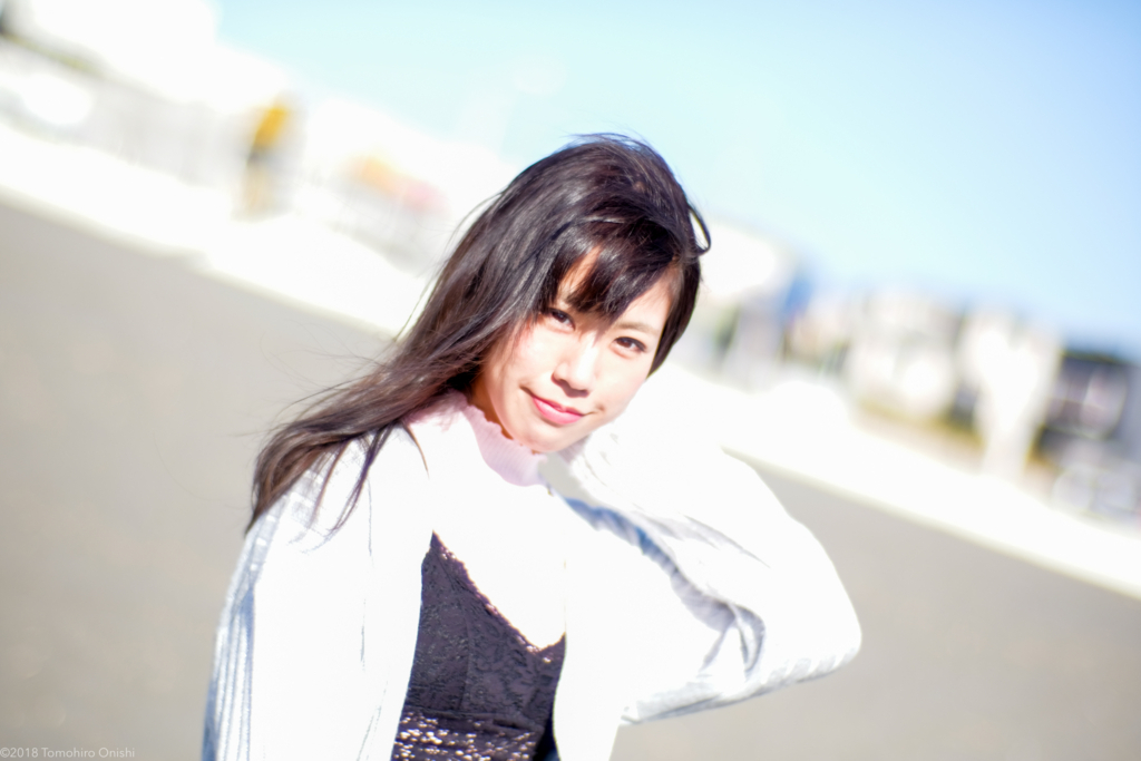 f:id:tomo-camera:20180310134220j:plain f:id:tomo-camera:20180310134220j:plain