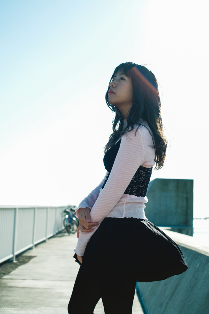f:id:tomo-camera:20180310232043j:plain f:id:tomo-camera:20180310232043j:plain