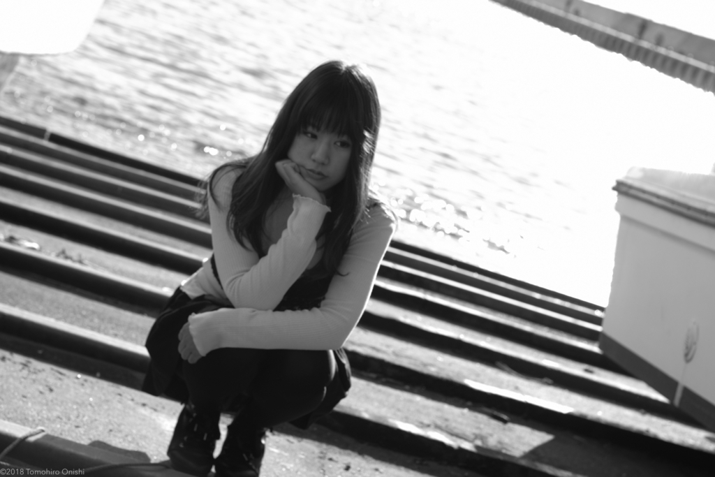 f:id:tomo-camera:20180310232334j:plain f:id:tomo-camera:20180310232334j:plain
