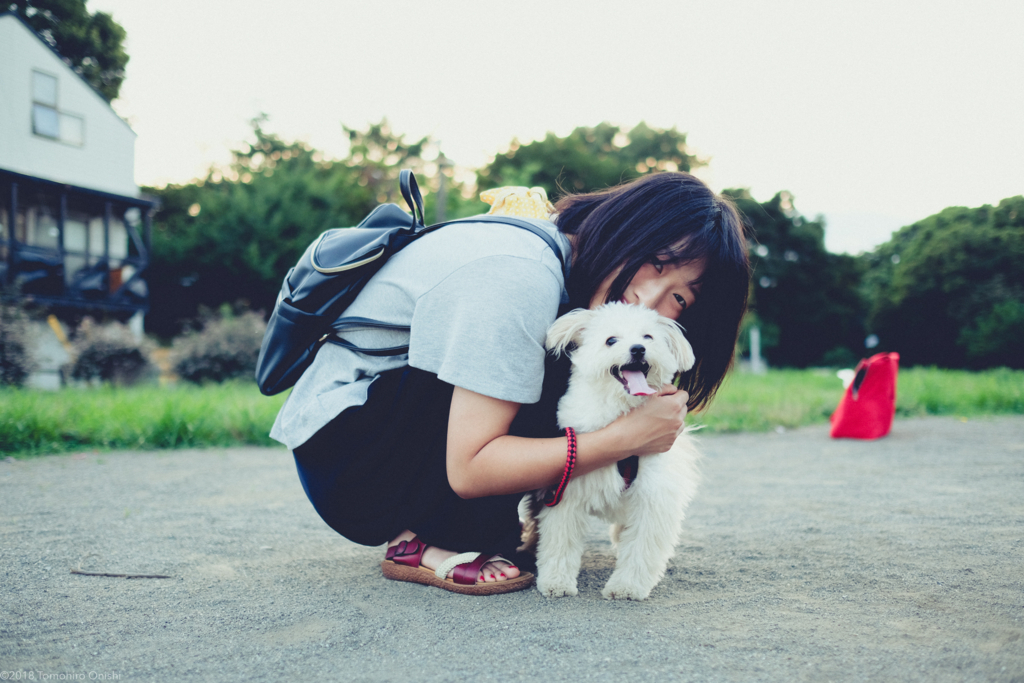 f:id:tomo-camera:20180316120736j:plain f:id:tomo-camera:20180316120736j:plain
