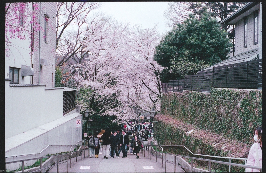 f:id:tomo-camera:20180320093949j:plain f:id:tomo-camera:20180320093949j:plain