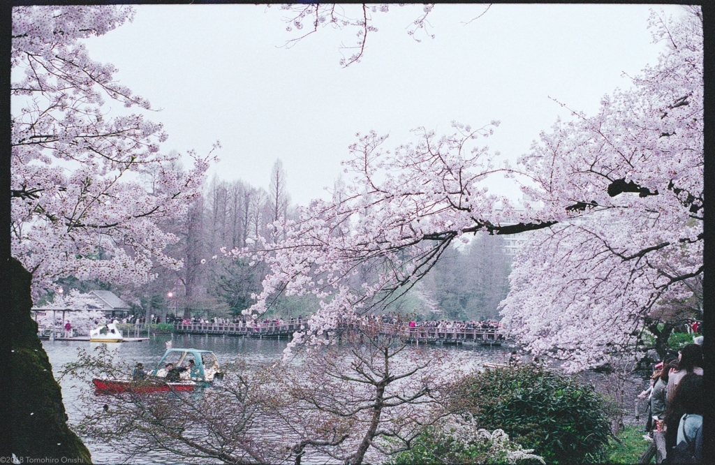 f:id:tomo-camera:20180320094217j:plain f:id:tomo-camera:20180320094217j:plain