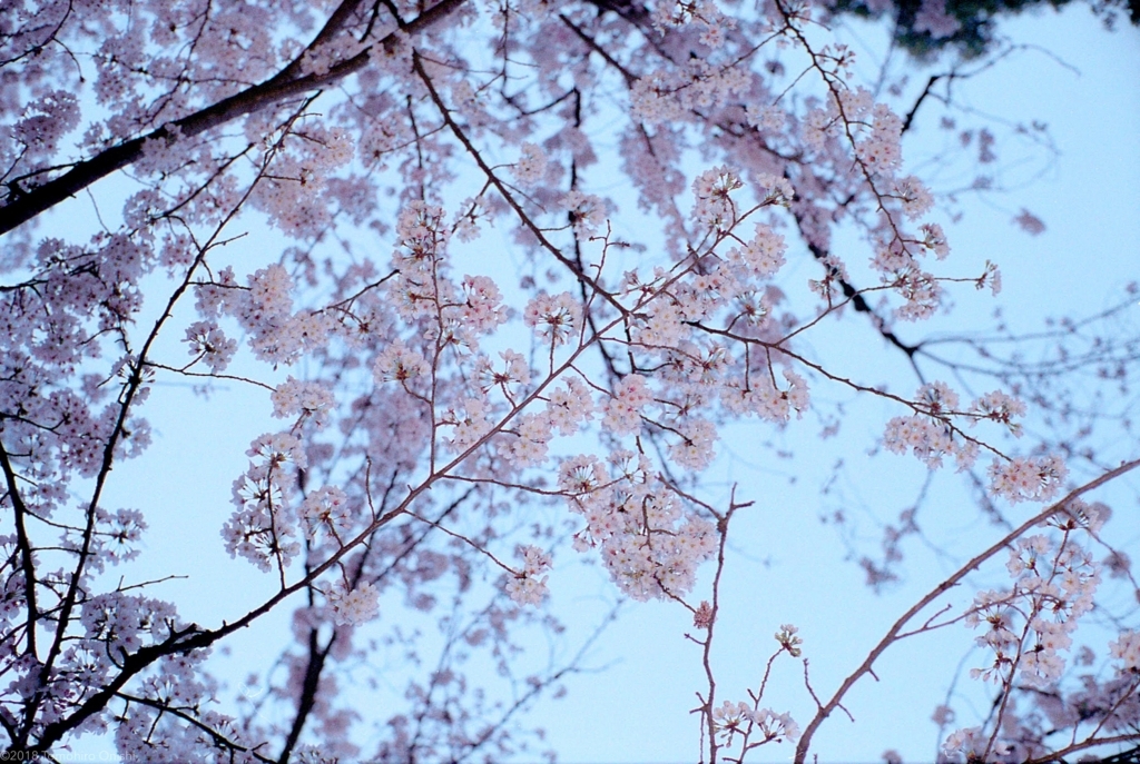 f:id:tomo-camera:20180320094311j:plain f:id:tomo-camera:20180320094311j:plain