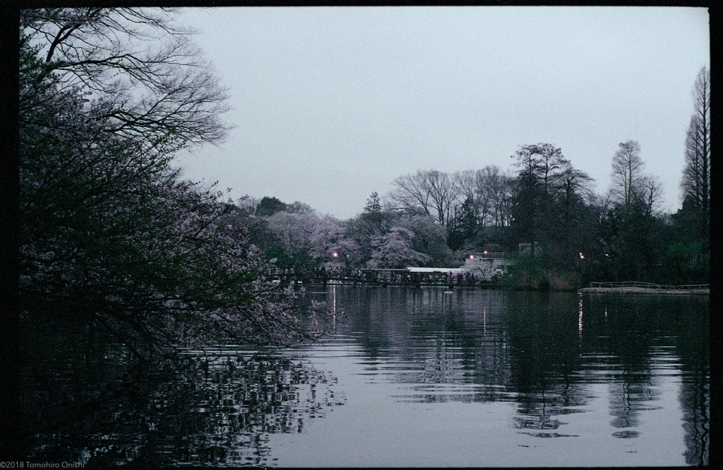 f:id:tomo-camera:20180320094349j:plain f:id:tomo-camera:20180320094349j:plain