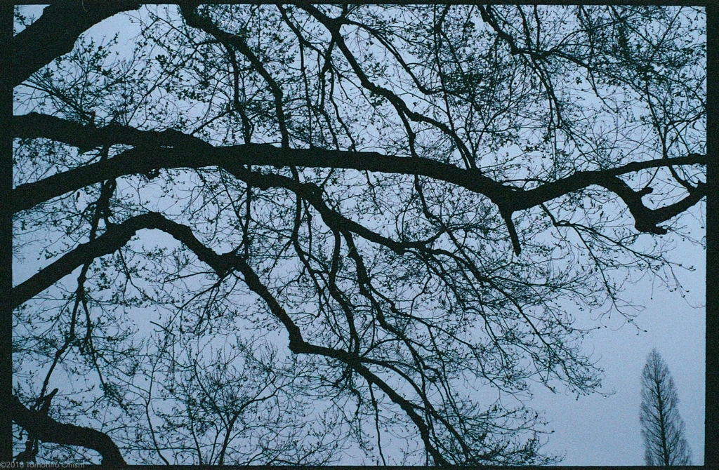 f:id:tomo-camera:20180320094450j:plain f:id:tomo-camera:20180320094450j:plain
