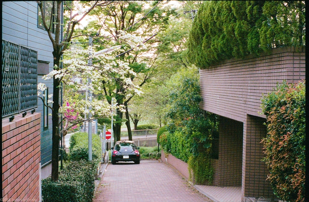 f:id:tomo-camera:20180320101056j:plain f:id:tomo-camera:20180320101056j:plain