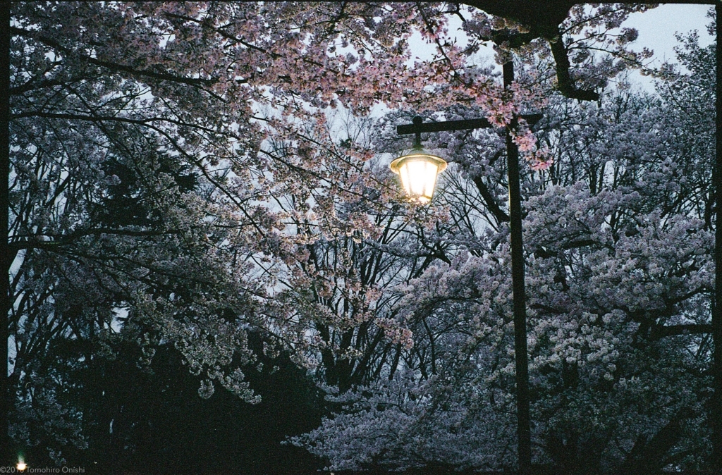 f:id:tomo-camera:20180320103153j:plain f:id:tomo-camera:20180320103153j:plain