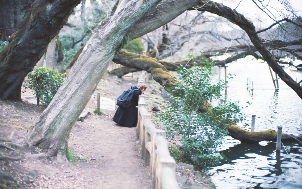 f:id:tomo-camera:20180320120315j:plain f:id:tomo-camera:20180320120315j:plain