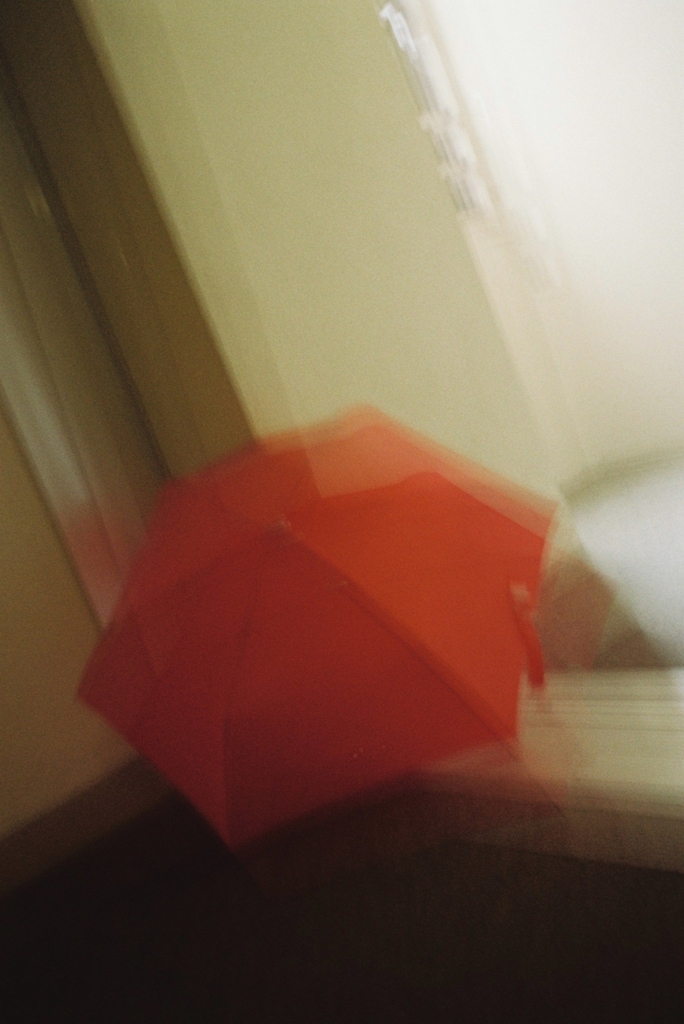f:id:tomo-camera:20180628104307j:plain f:id:tomo-camera:20180628104307j:plain