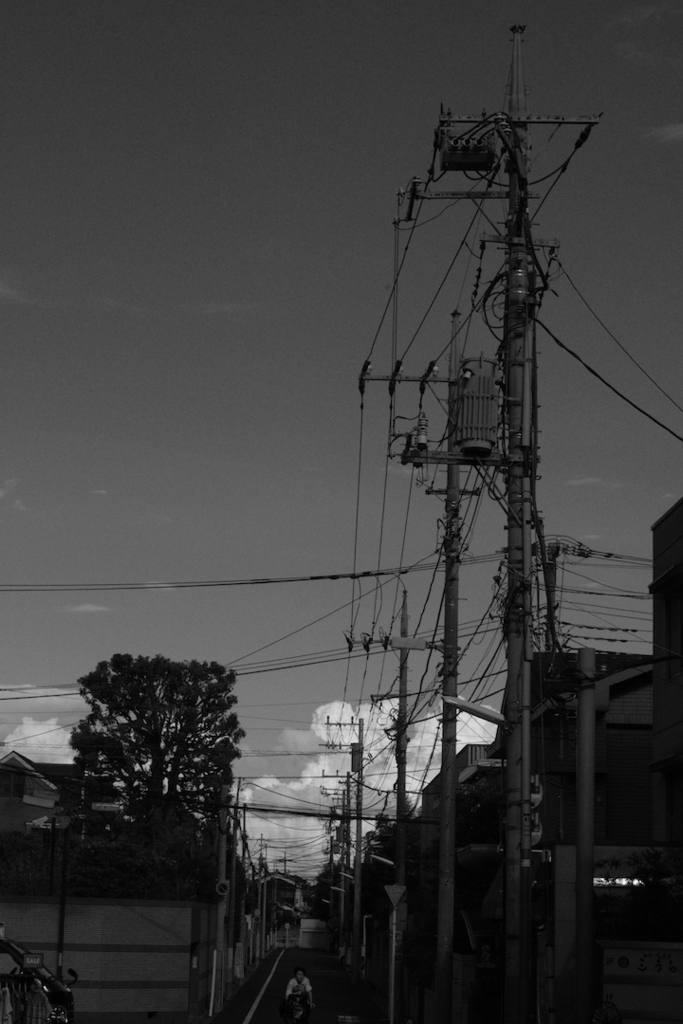 f:id:tomo-camera:20180709175833j:plain f:id:tomo-camera:20180709175833j:plain