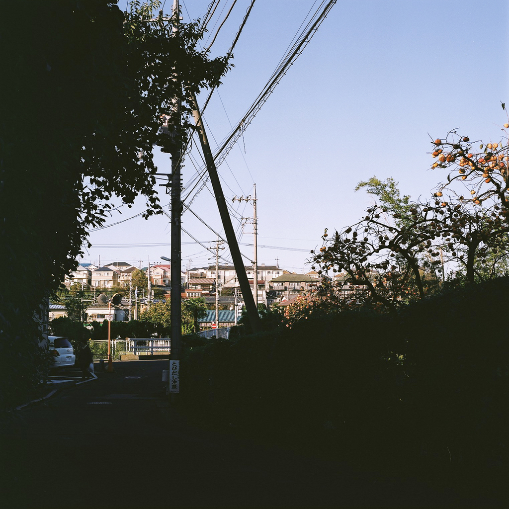 f:id:tomo-camera:20181023223318j:plain f:id:tomo-camera:20181023223318j:plain