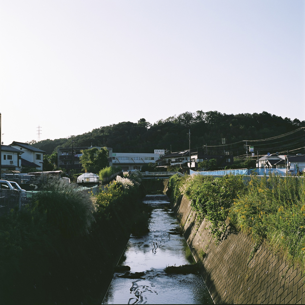 f:id:tomo-camera:20181023223357j:plain f:id:tomo-camera:20181023223357j:plain
