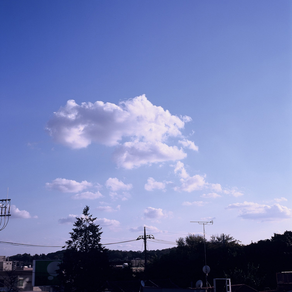 f:id:tomo-camera:20181103071631j:plain f:id:tomo-camera:20181103071631j:plain