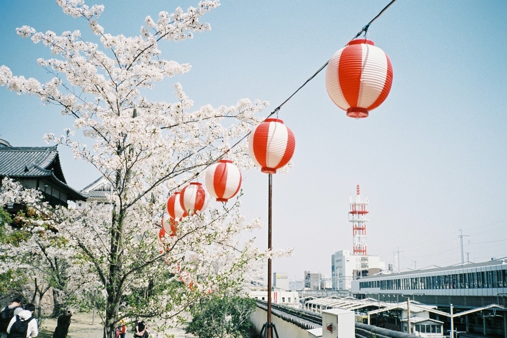 f:id:tomo-camera:20181107192810j:plain f:id:tomo-camera:20181107192810j:plain