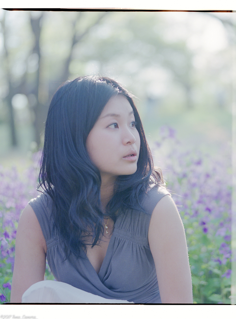 f:id:tomo-camera:20181109101701j:plain f:id:tomo-camera:20181109101701j:plain