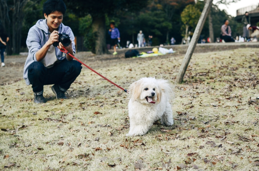 f:id:tomo-camera:20181122165015j:plain f:id:tomo-camera:20181122165015j:plain