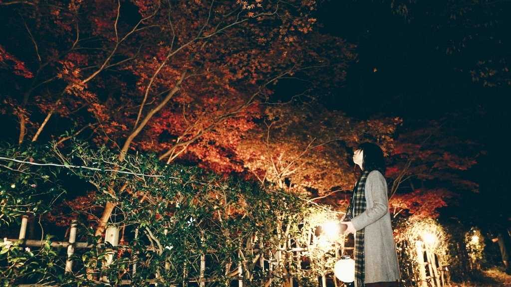 f:id:tomo-camera:20181205225901j:plain f:id:tomo-camera:20181205225901j:plain