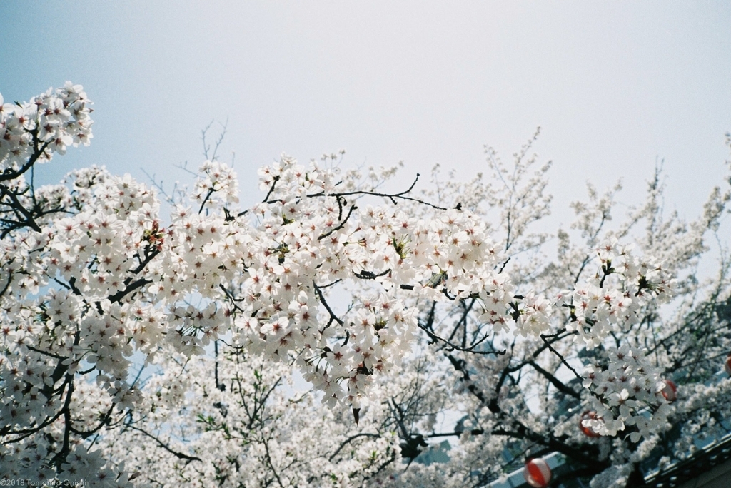 f:id:tomo-camera:20181217223906j:plain f:id:tomo-camera:20181217223906j:plain