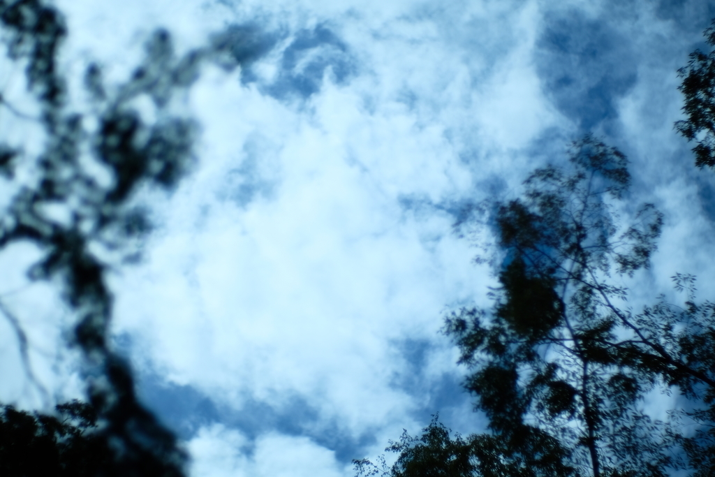 f:id:tomo-camera:20181221003745j:plain f:id:tomo-camera:20181221003745j:plain