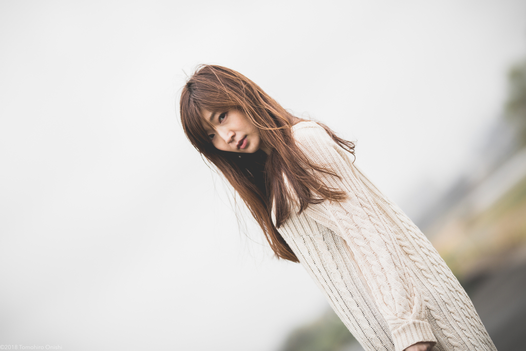 f:id:tomo-camera:20190107003634j:plain f:id:tomo-camera:20190107003634j:plain