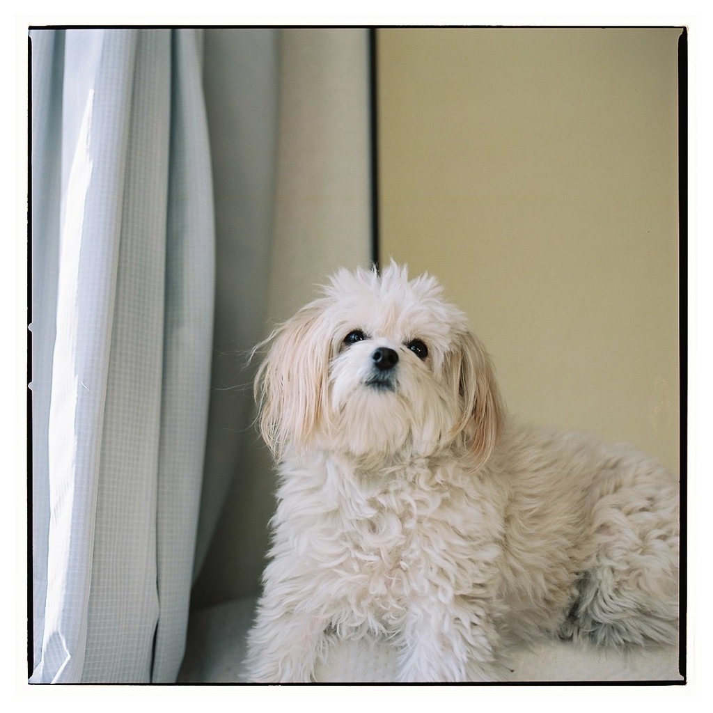 f:id:tomo-camera:20190107005539j:plain f:id:tomo-camera:20190107005539j:plain