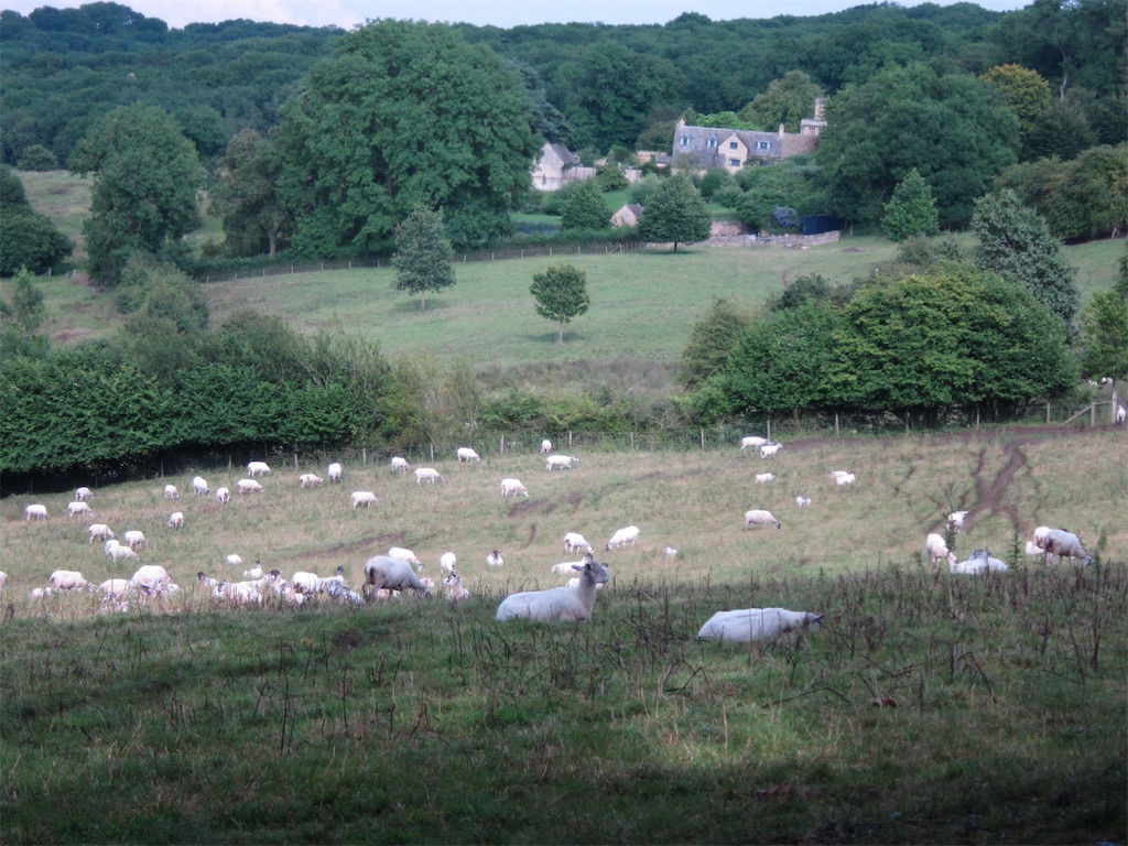 f:id:tomo-lab:20200503164915j:image