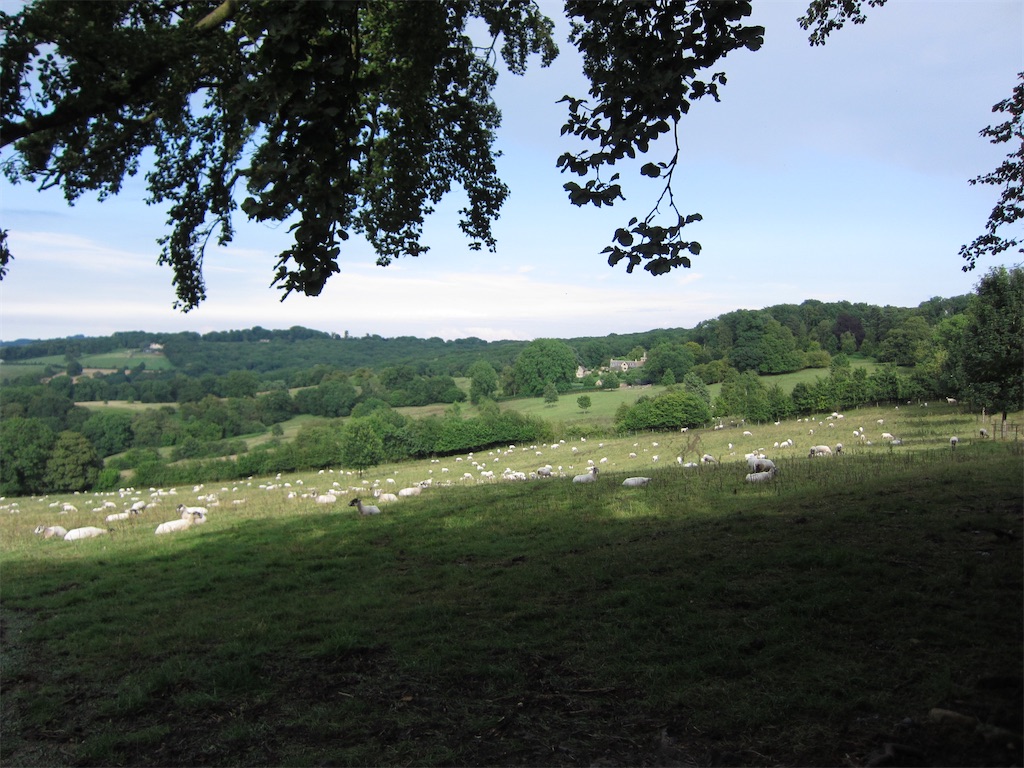 f:id:tomo-lab:20200503164921j:image