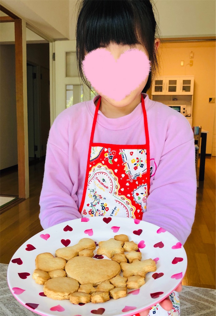 f:id:tomo-lab:20200518173129j:image