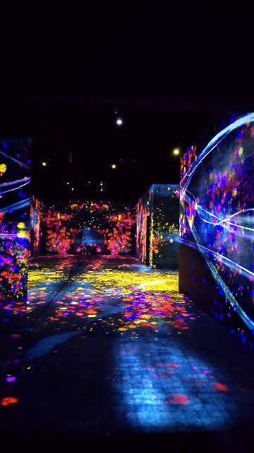 f:id:tomo-lab:20220102102626j:image f:id:tomo-lab:20220102102626j:image