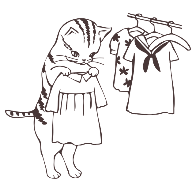 f:id:tomo-lab:20220118144033p:plain