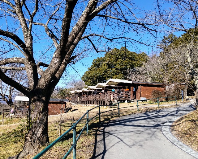 f:id:tomo-lab:20220130102506j:image f:id:tomo-lab:20220130102506j:image