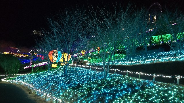 f:id:tomo-lab:20220130134236j:image f:id:tomo-lab:20220130134236j:image