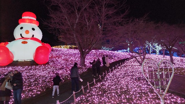 f:id:tomo-lab:20220130134322j:image f:id:tomo-lab:20220130134322j:image