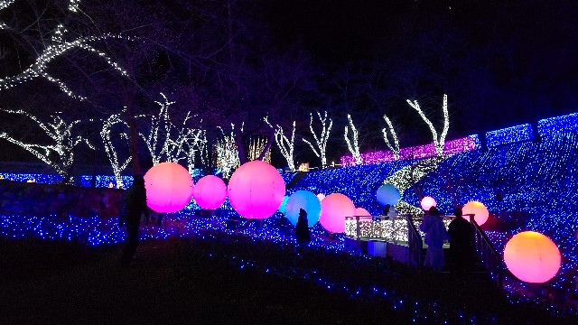 f:id:tomo-lab:20220130134408j:image f:id:tomo-lab:20220130134408j:image