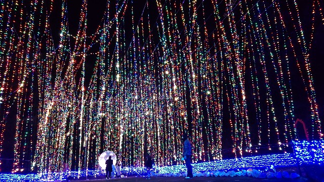 f:id:tomo-lab:20220130134507j:image f:id:tomo-lab:20220130134507j:image